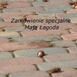 zamówienie specjalne Maja Łagoda - Inne - Torebki